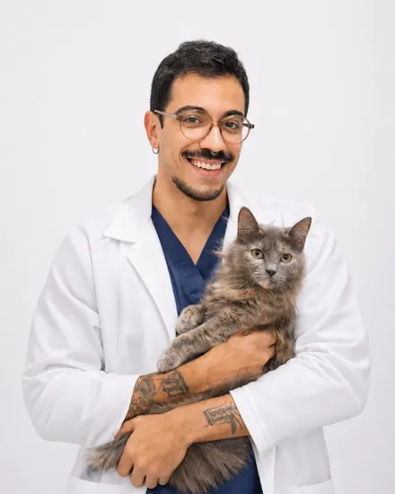 Membro da equipe de especialistas da Cavet, hospital veterinário na Tijuca