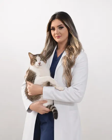 Veterinário da equipe da Cavet Tijuca com um paciente pet