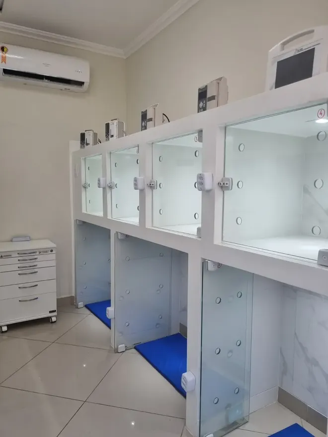 Internação 24h da clínica veterinária Cavet na Tijuca